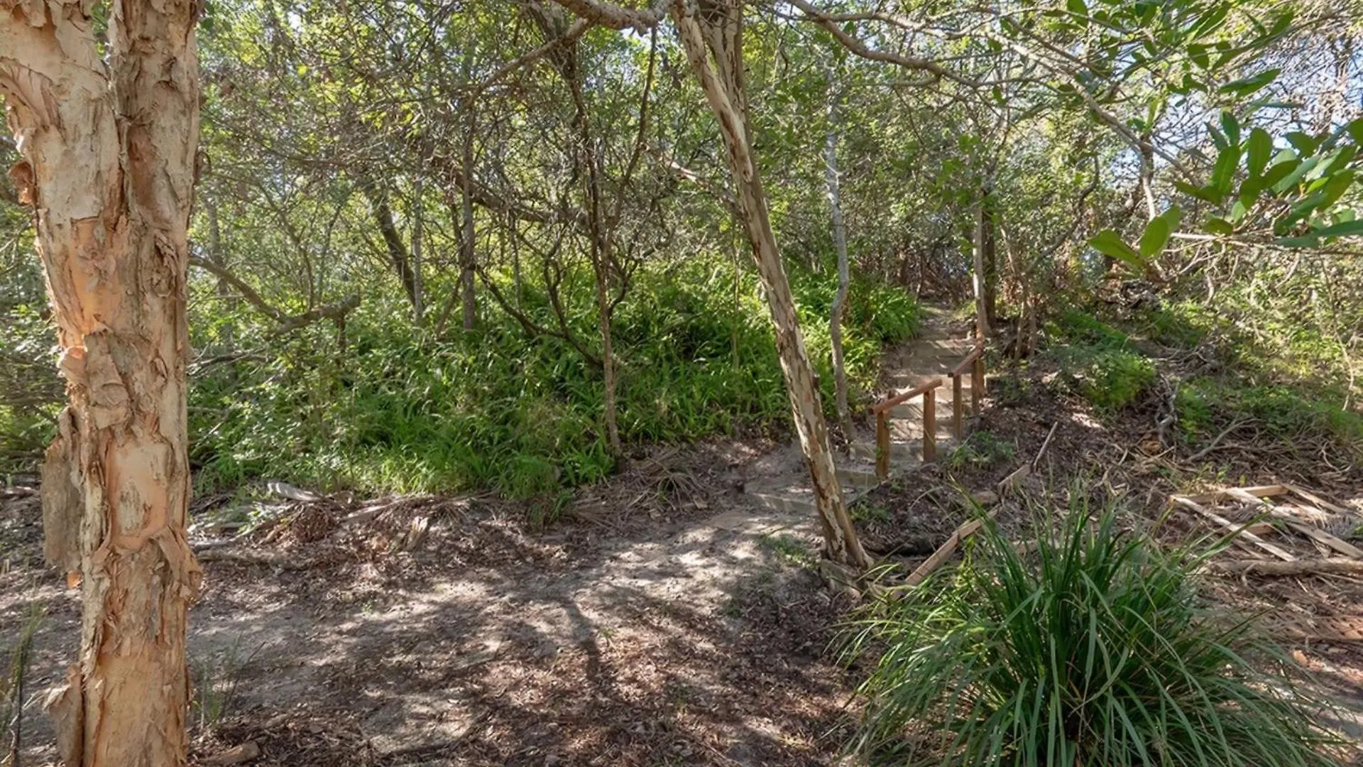 1-90 Lorikeet Drive Peregian Beach Appartement